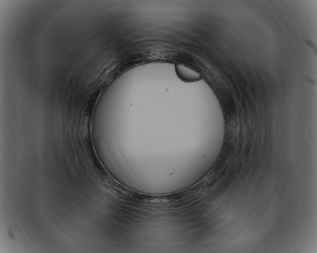 X0000094080554200710190920