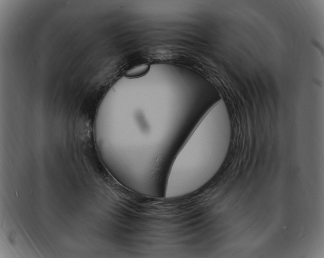X0000094080555200710190920