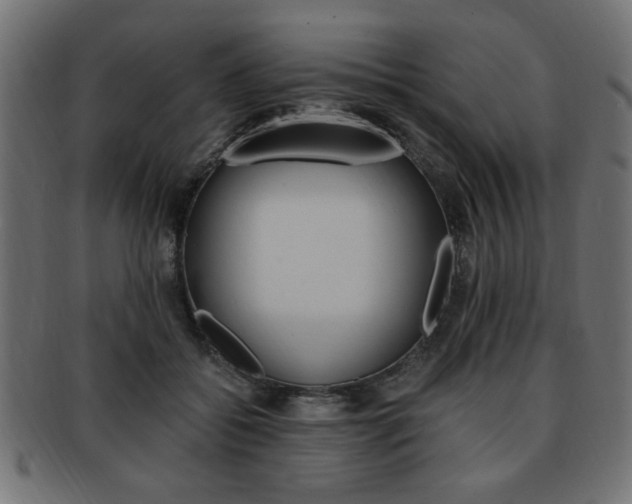 X0000094080556200710190920