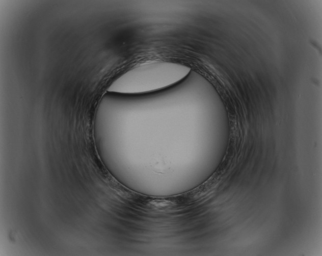 X0000094080557200710190920