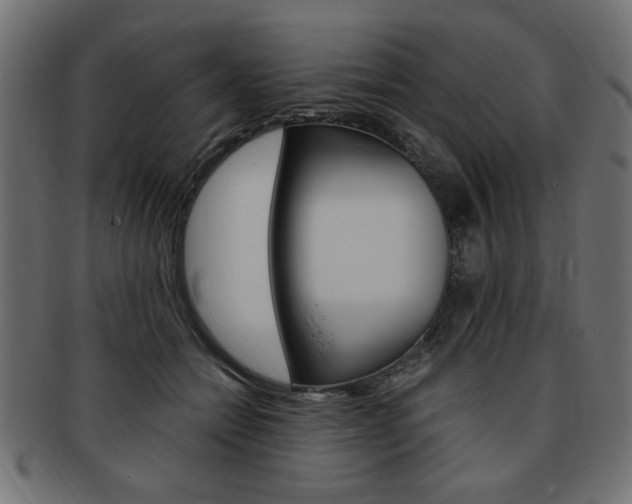 X0000094080558200710190920