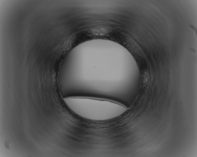X0000094080559200710190920