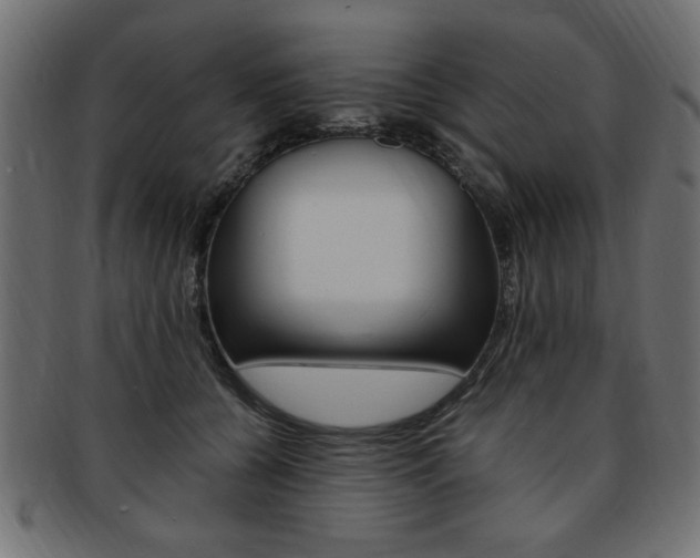 X0000094080560200710190920
