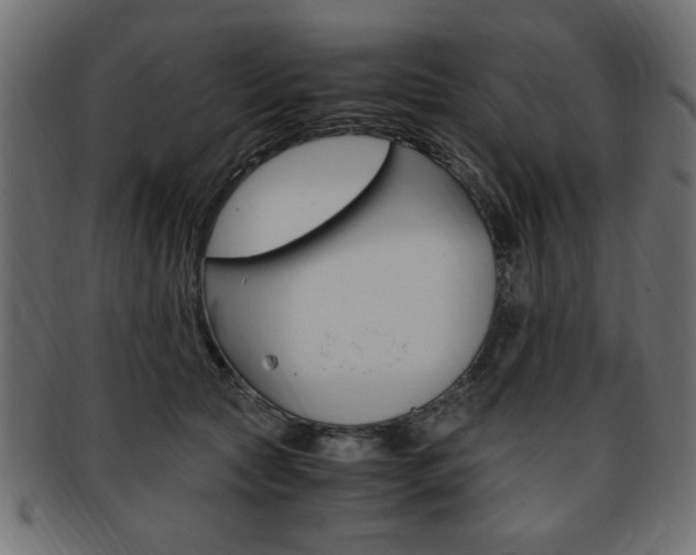X0000094080561200710190920