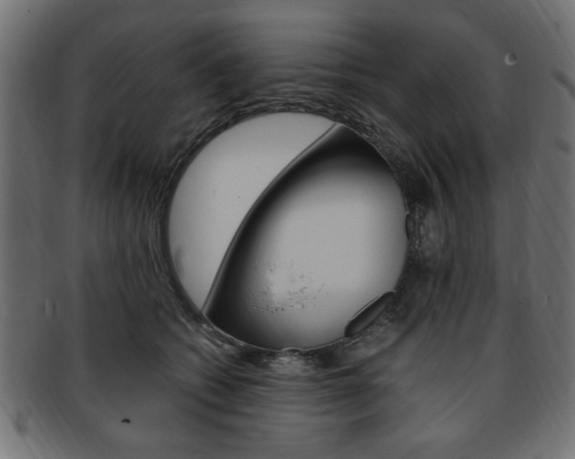 X0000094080562200710190920