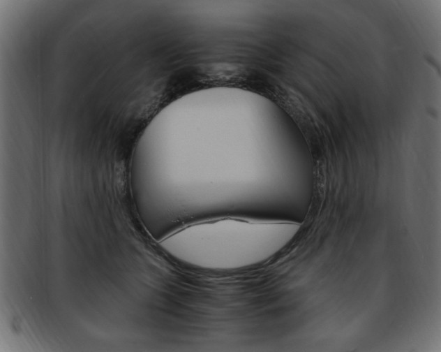 X0000094080563200710190920