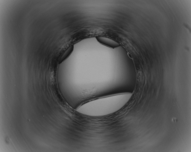 X0000094080564200710190920