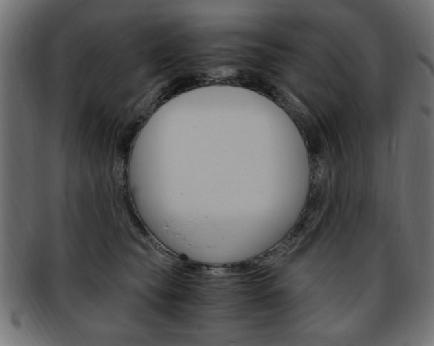 X0000094080565200710190920