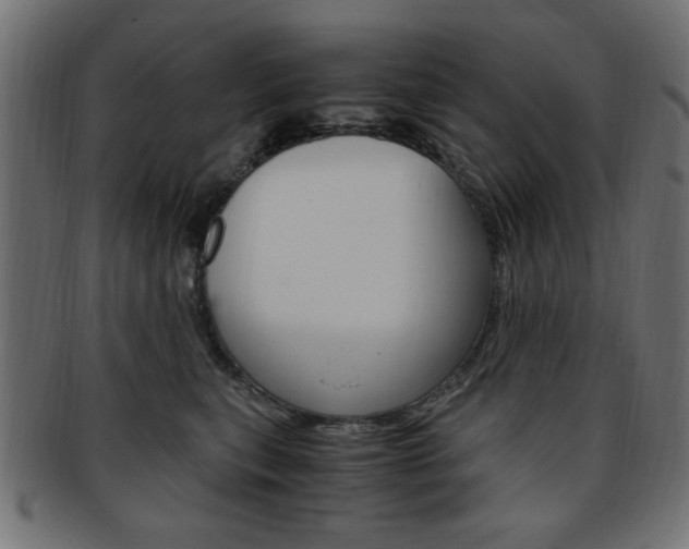X0000094080567200710190920