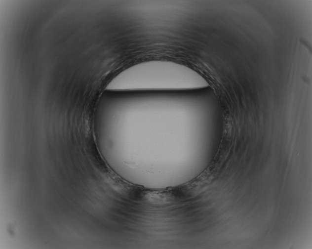 X0000094080568200710190920