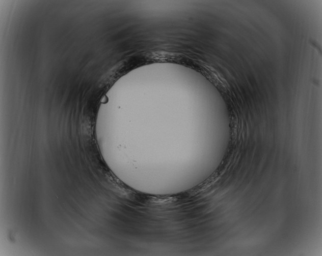 X0000094080569200710190920