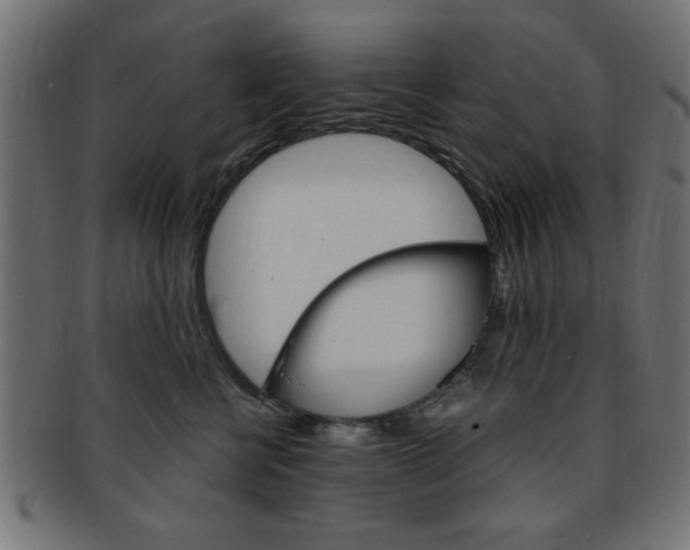 X0000094080570200710190920