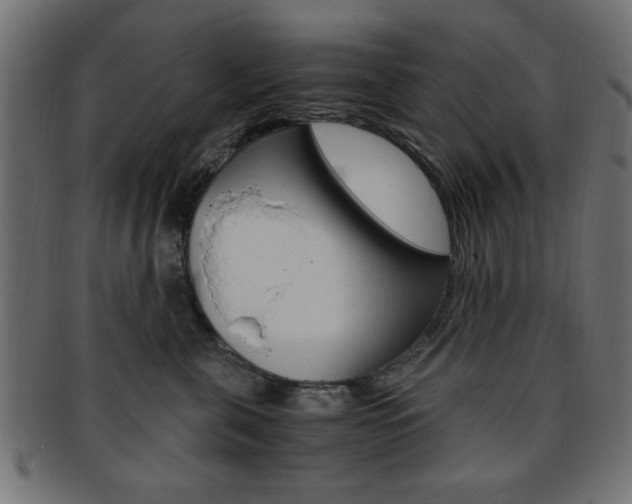X0000094080571200710190920