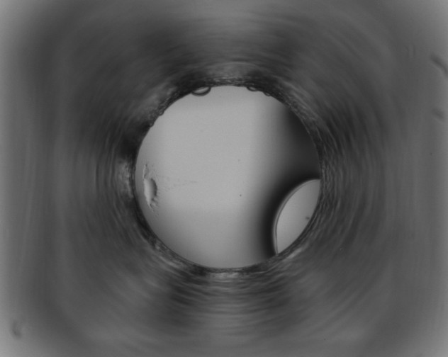 X0000094080575200710190921