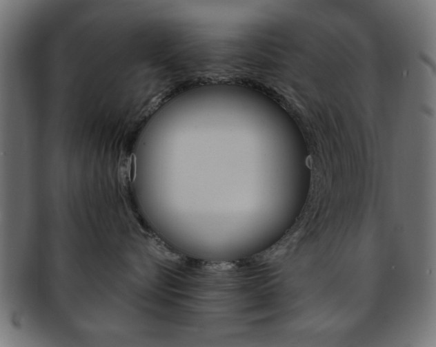 X0000094080576200710190921