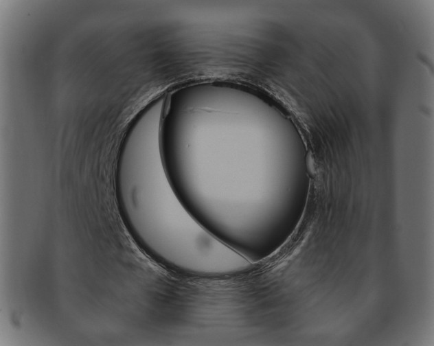 X0000094080577200710190920