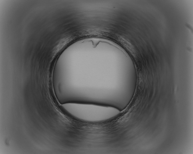 X0000094080578200710190920