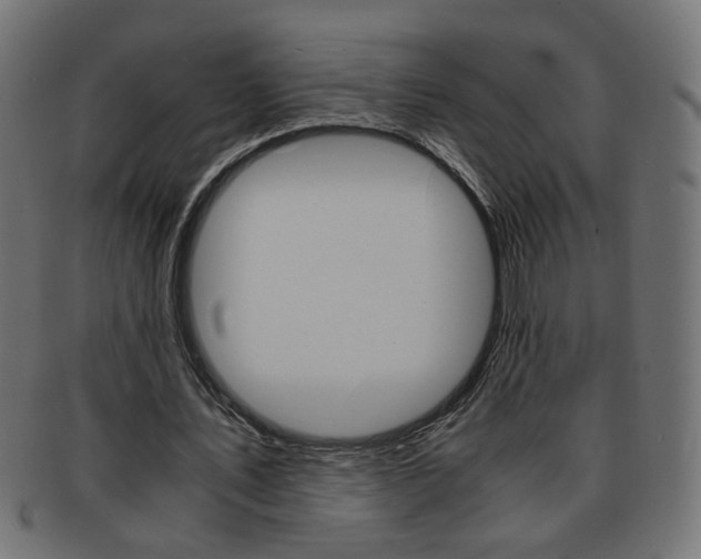 X0000094080579200710190920