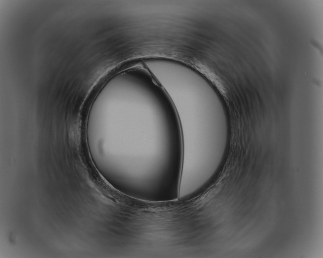 X0000094080580200710190920