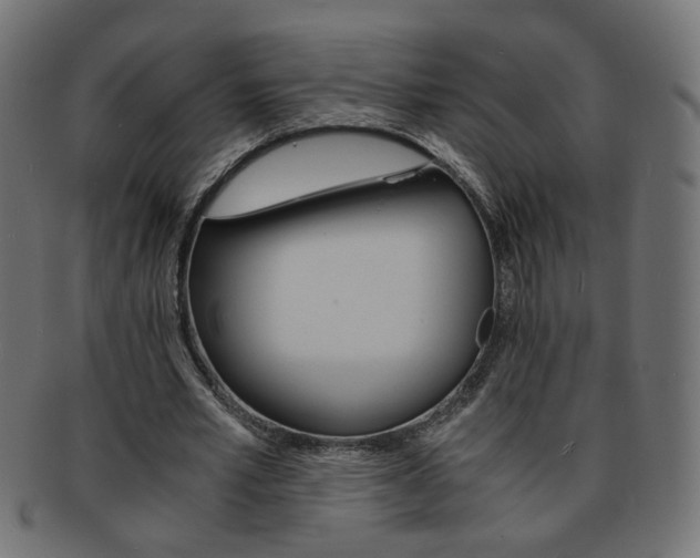 X0000094080581200710190920