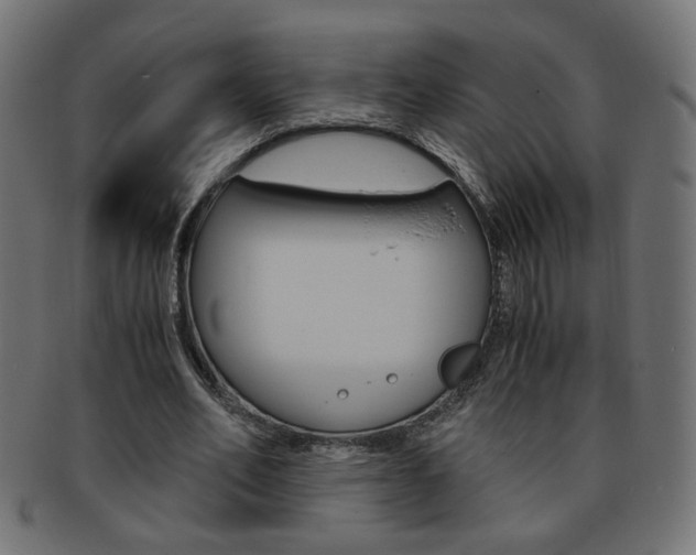 X0000094080582200710190920