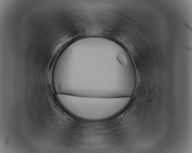 X0000094080583200710190920