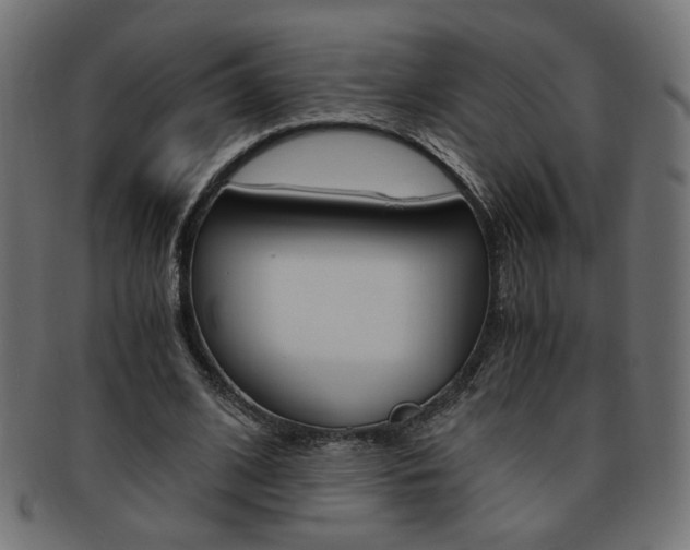 X0000094080584200710190920