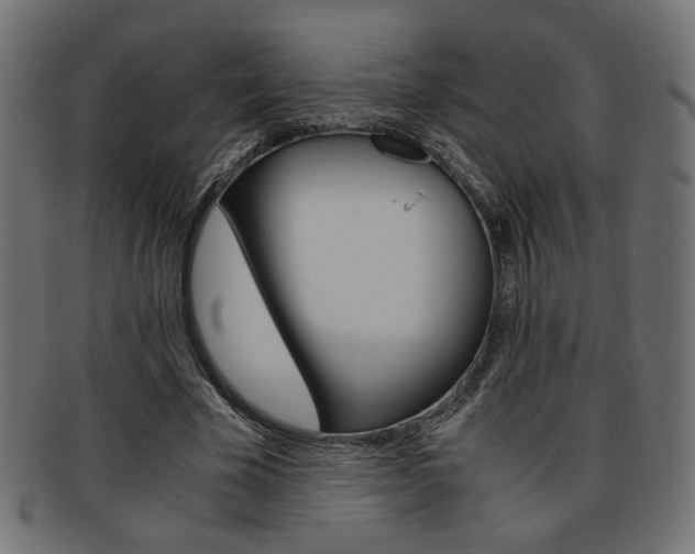 X0000094080585200710190920