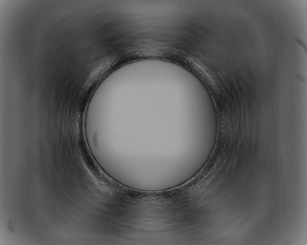 X0000094080586200710190920