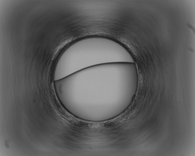 X0000094080587200710190920