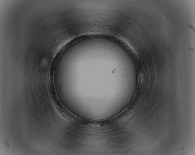 X0000094080588200710190920