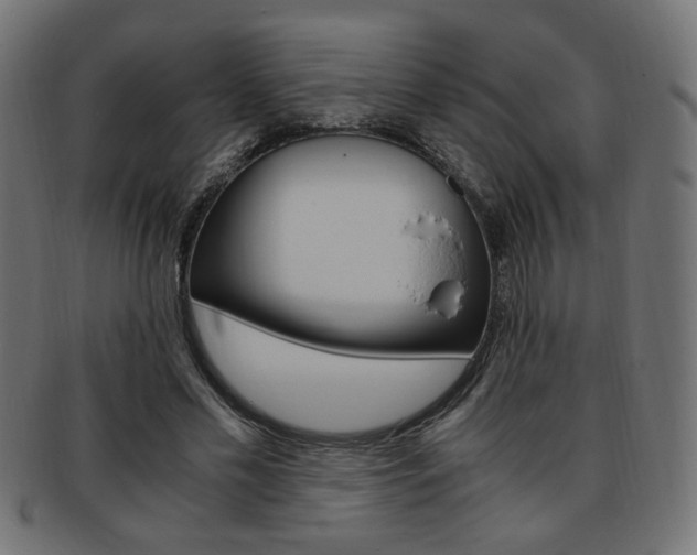 X0000094080589200710190920