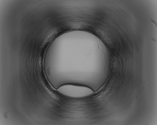 X0000094080590200710190920