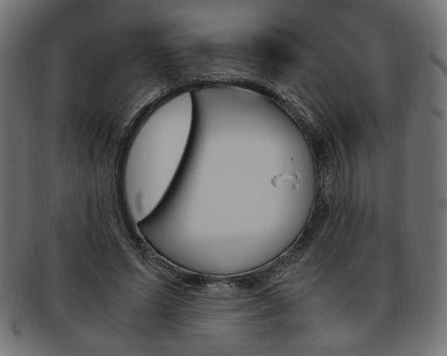 X0000094080591200710190920