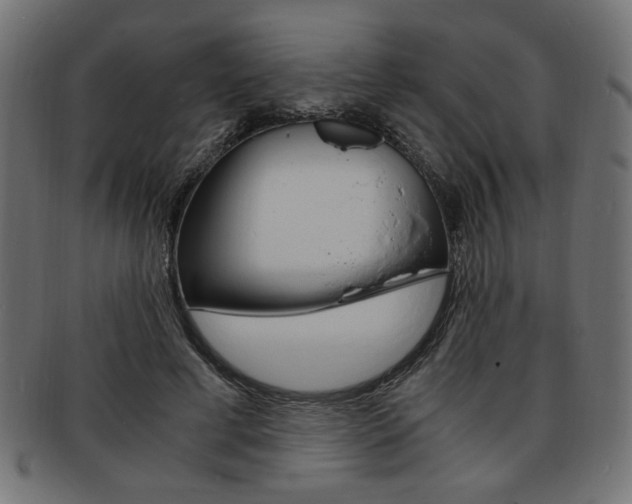 X0000094080593200710190919