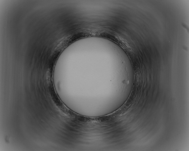X0000094080594200710190919