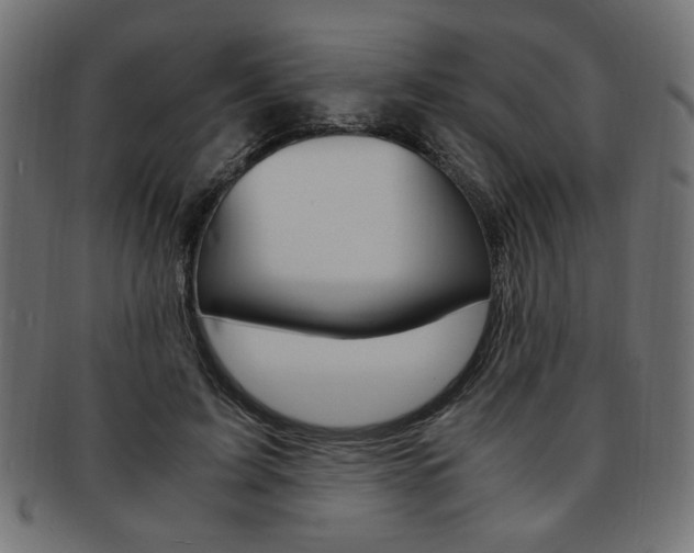 X0000094080595200710190919