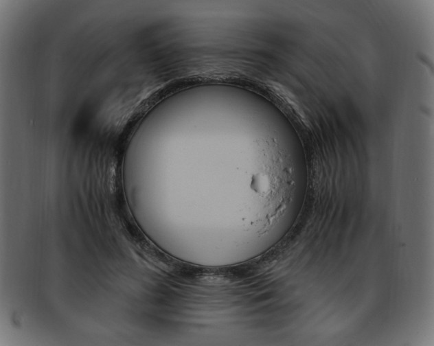 X0000094080596200710190919
