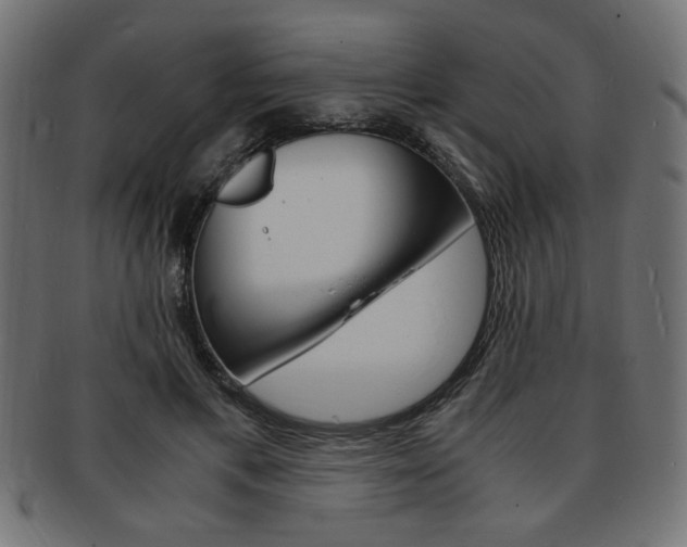 X0000094080597200710190919