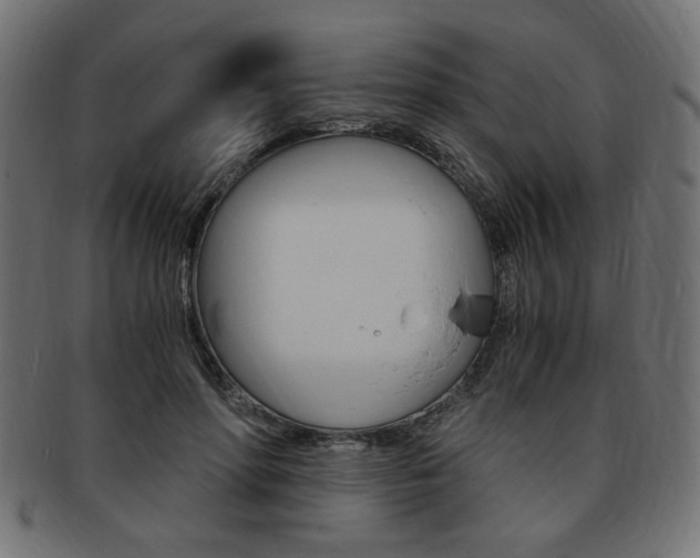 X0000094080598200710190919