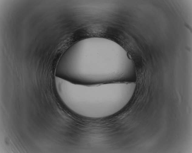 X0000094080599200710190919