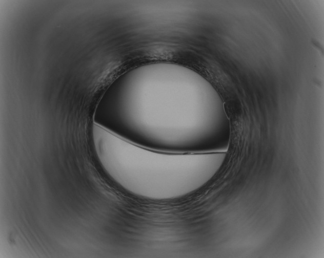 X0000094080600200710190919
