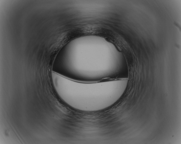 X0000094080601200710190919