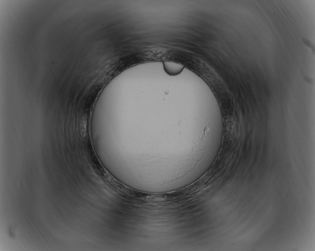 X0000094080602200710190919