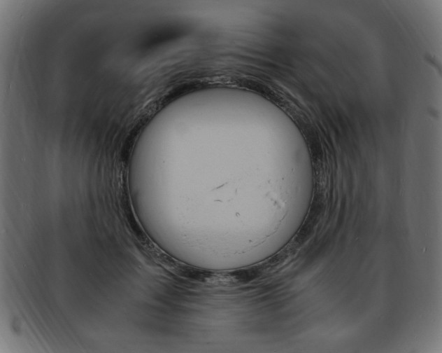 X0000094080603200710190919