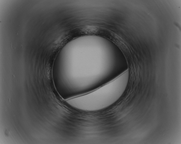 X0000094080604200710190919