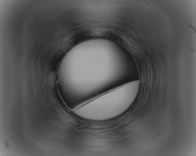 X0000094080605200710190919