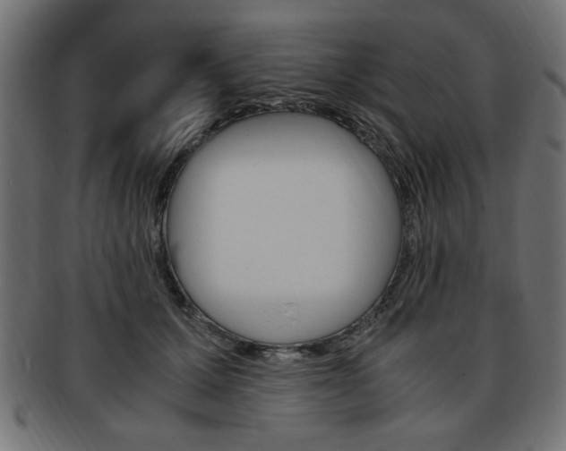 X0000094080607200710190919