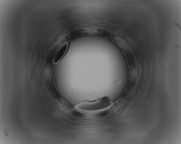 X0000094080609200710190919