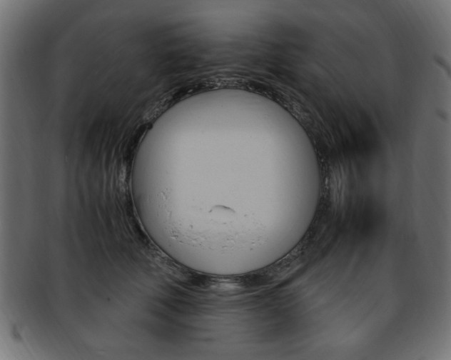 X0000094080610200710190919